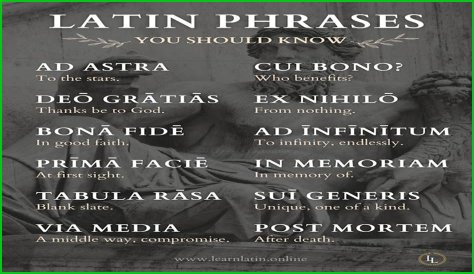 A Profile Of A Latin Beauty