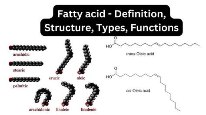 Is CBD oil a fatty acid?