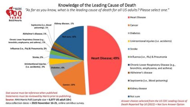 What is the first leading cause of death for ages 10 24?